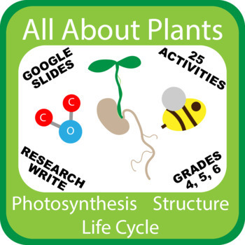Preview of Virtual Learning Plants Unit | Life Cycle | Photosynthesis