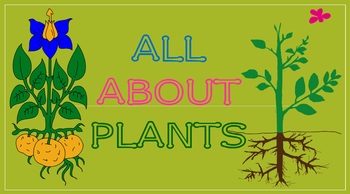 Preview of All About Plants (Powerpoint)