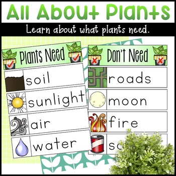 Parts of a Plant  Let's Talk Science