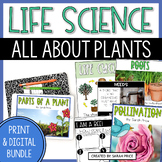 Plants Worksheets & Digital Activities BUNDLE - 2nd & 3rd 