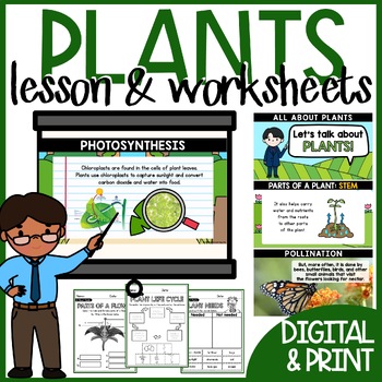 Preview of Plants Life Cycle Parts of a Flower Kindergarten 1st Grade Science Lesson