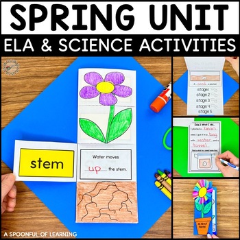 Preview of All About Plants and What Plants Need, Spring Activities and Crafts