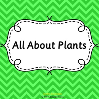 All About Plants - teaching idea, lesson plan by My Adorable Class