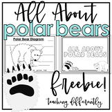 All About Polar Bears Informational Text Writing {FREE}