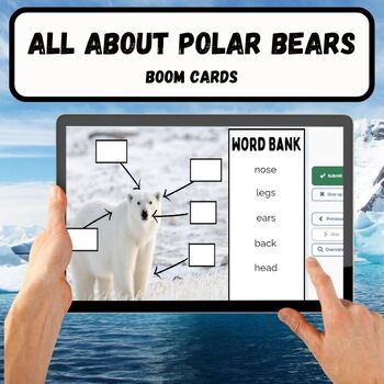 Preview of All About Polar Bears Informational and Interactive Boom Cards