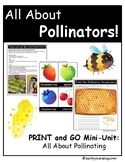 All About Pollinators - A Play-Based Mini-Unit