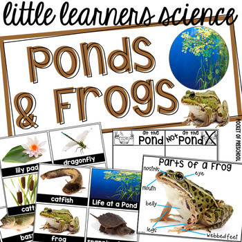Preview of All About Ponds & Frogs Science for Little Learners (preschool, pre-k, & kinder)