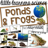 All About Ponds & Frogs Science for Little Learners (presc