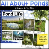 Pond Habitat Science Activities for Preschool - Pond Life 