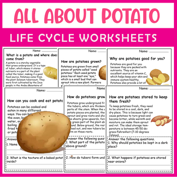 Preview of All About Potato | Potato Life Cycle | Science Reading Comprehensions