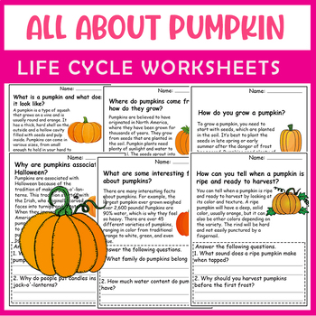 Preview of All About Pumpkin | Pumpkin Life Cycle | Science Reading Comprehensions