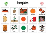All About Pumpkins Communication Board