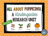 All About Pumpkins | DIFFERENTIATED Kindergarten Research | FREE!