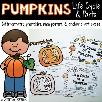 Preview of All About Pumpkins! {Life Cycle, Pumpkin Parts}