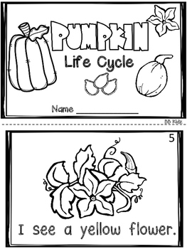 Preview of All About Pumpkins/ Life Cycle / Sequencing/ Emergent Readers / Kindergarten