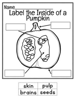 All About Pumpkins { Printables, Graphic Organizers, Craftivity, Anchor ...