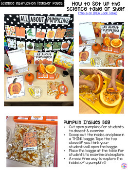 All About Pumpkins - Science for Little Learners (preschool, pre-k ...