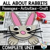 Easter Bunny Craft Project All About Rabbits Activities Li