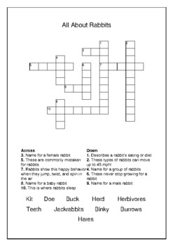 All About Rabbits Crossword Puzzle and Word Search Bell Ringer