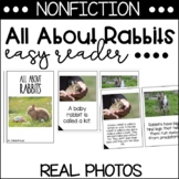All About Rabbits | Easy Reader | Nonfiction | Photographs
