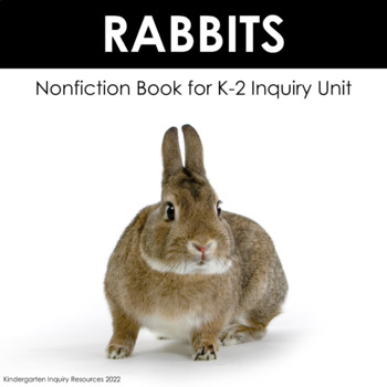 Preview of All About: Rabbits | Kindergarten Nonfiction Book