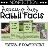 All About Rabbits | Powerpoint | Real-Life Pictures