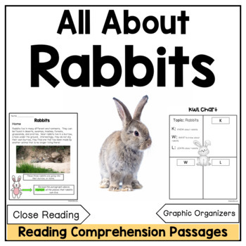 Preview of All About Rabbits Spring Reading Comprehension Passages and Activities