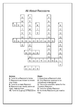 All About Raccoons Crossword Puzzle and Word Search Bell Ringer