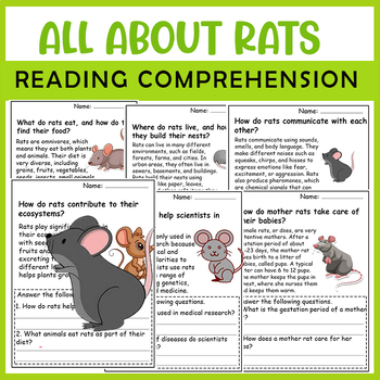 Preview of All About Rat | Rat Life Cycle | Science Reading Comprehensions