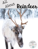 All About Reindeer