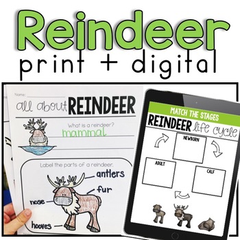 Reindeer Facts And Habitat (print + Digital) By Kristen Sullins 