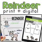 Reindeer Facts and Habitat (print + digital)