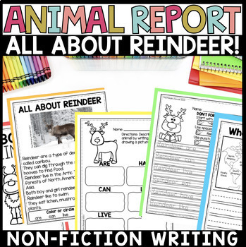 Preview of All About Reindeer | Animal Report | Nonfiction Writing | Informational Caribou