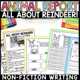All About Reindeer | Animal Report | Nonfiction Writing | 