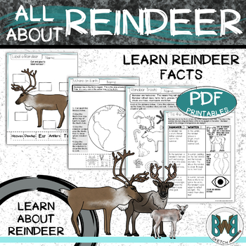 All About Reindeer Facts Worksheets Reindeer Diagram and Paper Craft