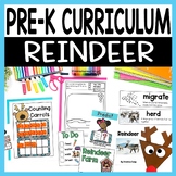 All About Reindeer PreK or Preschool Unit - Reindeer Craft