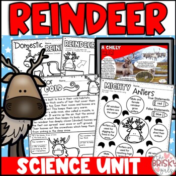 All About Reindeer Unit by The Brisky Girls | Teachers Pay Teachers