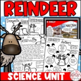 All About Reindeer Unit