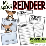 Reindeer Craft and Informative Writing Prompt | Christmas 