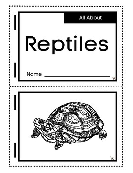 Preview of All About Reptiles