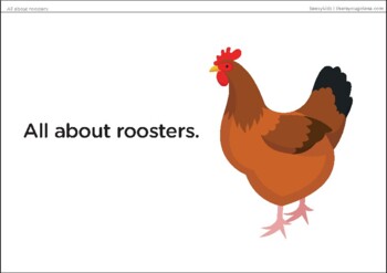 All About Roosters