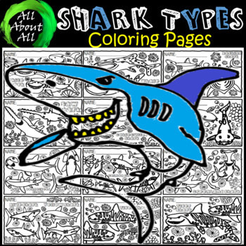 Preview of All About SHARK TYPES - Coloring Page - {AllAboutAll} {AAA}