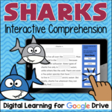 All About SHARKS Nonfiction Reading Comprehension Passages