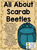 All About Scarab Beetles - Research, Reports, and an Art Project