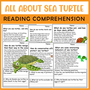Preview of All About Sea turtle | Sea turtle Life Cycle | Science Reading Comprehensions