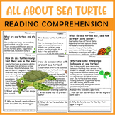 All About Sea turtle | Sea turtle Life Cycle | Science Rea