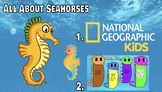 All About Seahorses