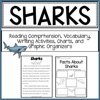 All About Sharks by Educating Everyone 4 Life | Teachers Pay Teachers