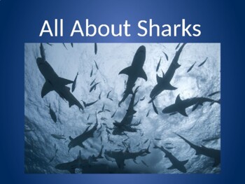 All About Sharks by Nerdmaste | TPT