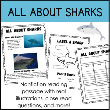 All About Sharks | Informational Reading Passage | Sharks Mini Unit